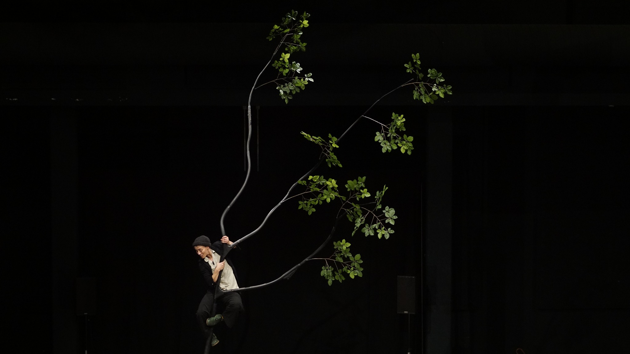 Spectacle danse clown Claire Ducreux